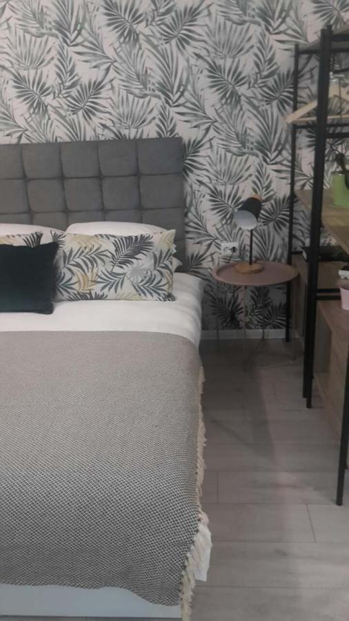 The Cozy Studio, Varna City Centre Kültér fotó